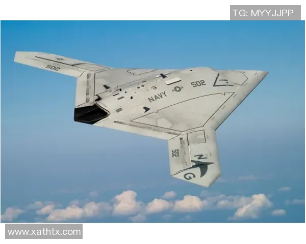 拉波尔特的崛起与挑战：探讨其在现代科技中的影响与未来发展方向